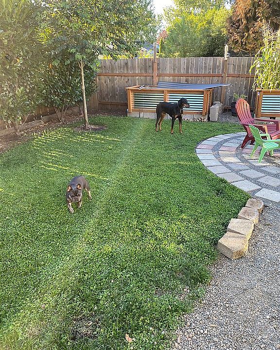 2nd image of 4427-4431 SE 52nd Ave