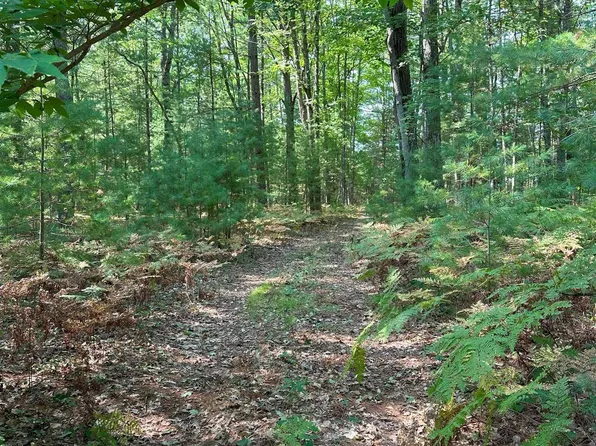 592 Blue Heron Dr SE, Kalkaska, MI 49646