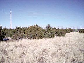 1st image of 8764 Andrea Pl