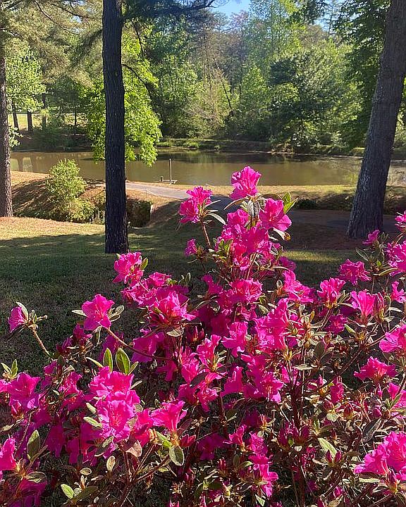 1st image of 5352 Wilkes Yadkin Rd