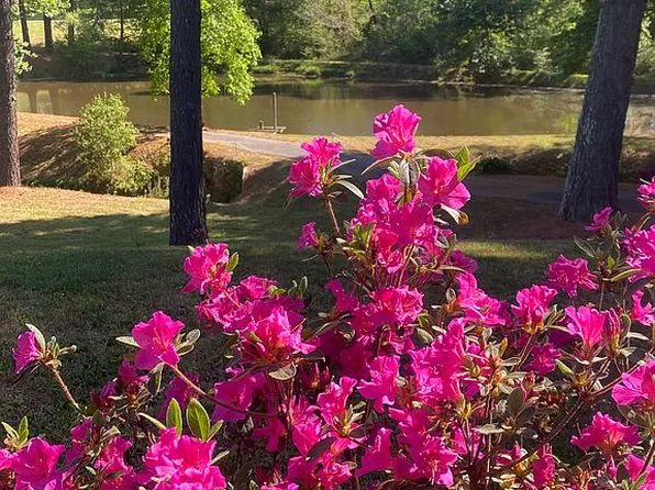 5352 Wilkes Yadkin Rd, Ronda, NC 28670
