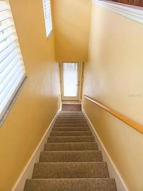 Studio, 1.0 bath, 440 sqft, $1,200 — Photo 3