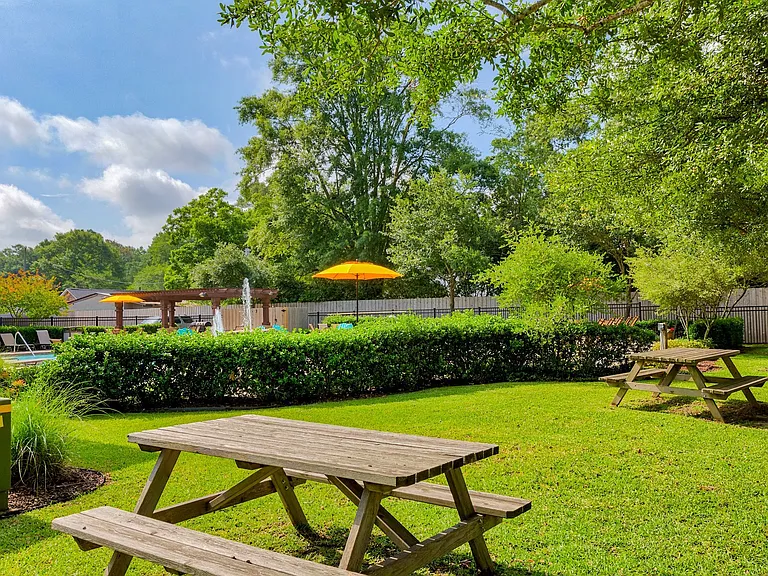 Parc At Denham Springs — Photo 15