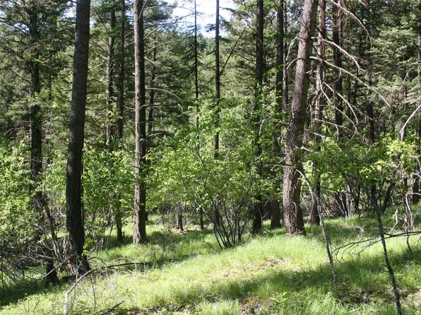 1450 Kienas Rd, Kalispell, MT 59901