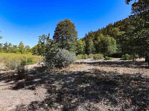 2nd image of 9.2 Acres Spring Hill Dr