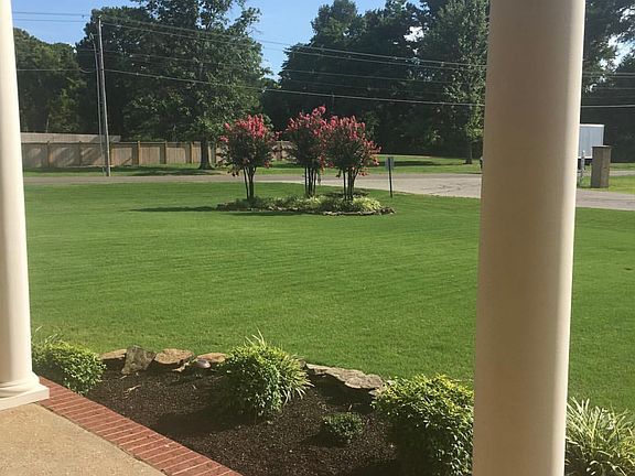 Beautiful lawn in Summer