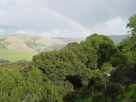 View of the Park with Rainbow