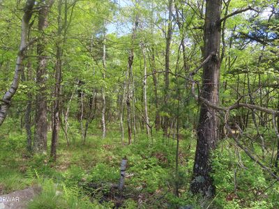 LOT 45.06 Heaters Hill Rd, Matamoras, PA, 18336