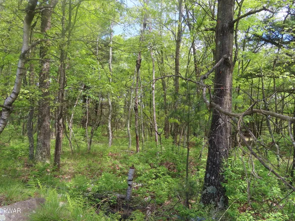 LOT 45.06 Heaters Hill Rd, Matamoras, PA 18336