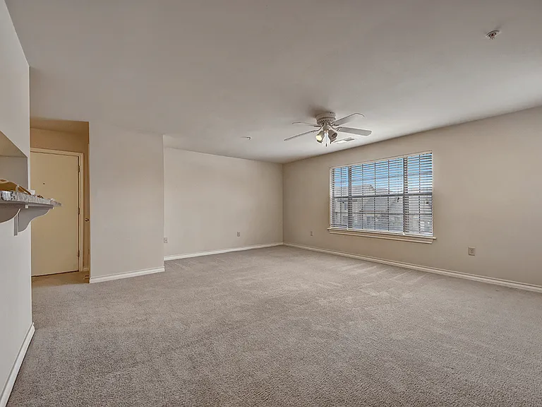 A Blank Canvas for Your Design