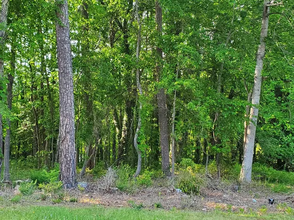 21065 Roosevelt Ave, Travelers Rest, SC 29690