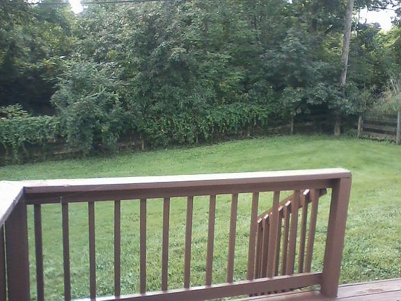 Rear Yard