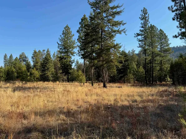 3792 Meadowlark Way, Loon Lake, WA 99148