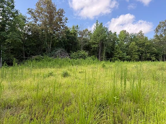 3rd image of 0 County Road 332 #1