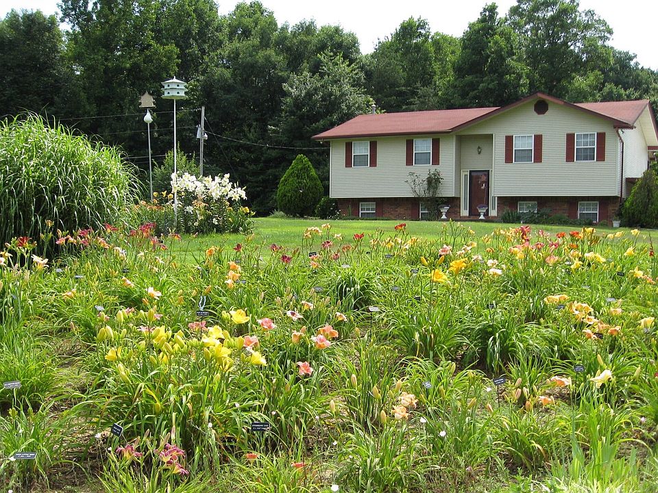 PEACEFUL COUNTRY LIVING