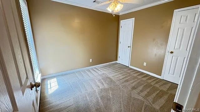 1333 Centerfield Ct — Photo 12