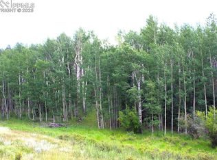 344 Grey Eagle Dr, Cripple Creek, CO 80813