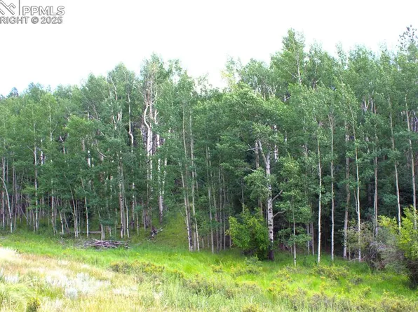 344 Grey Eagle Dr, Cripple Creek, CO 80813