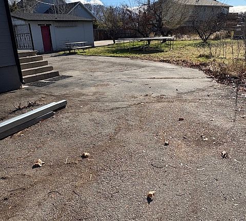 Circular Driveway with yard view