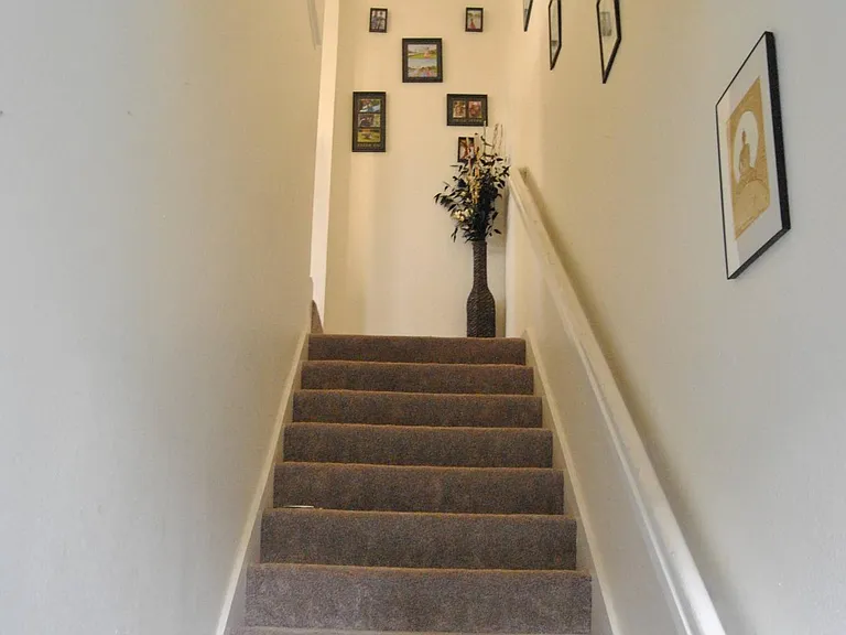 3509 Jasmine Cir — Photo 3