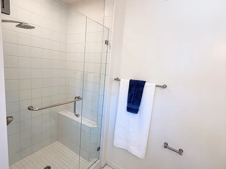 Primary shower stall and newer toilet