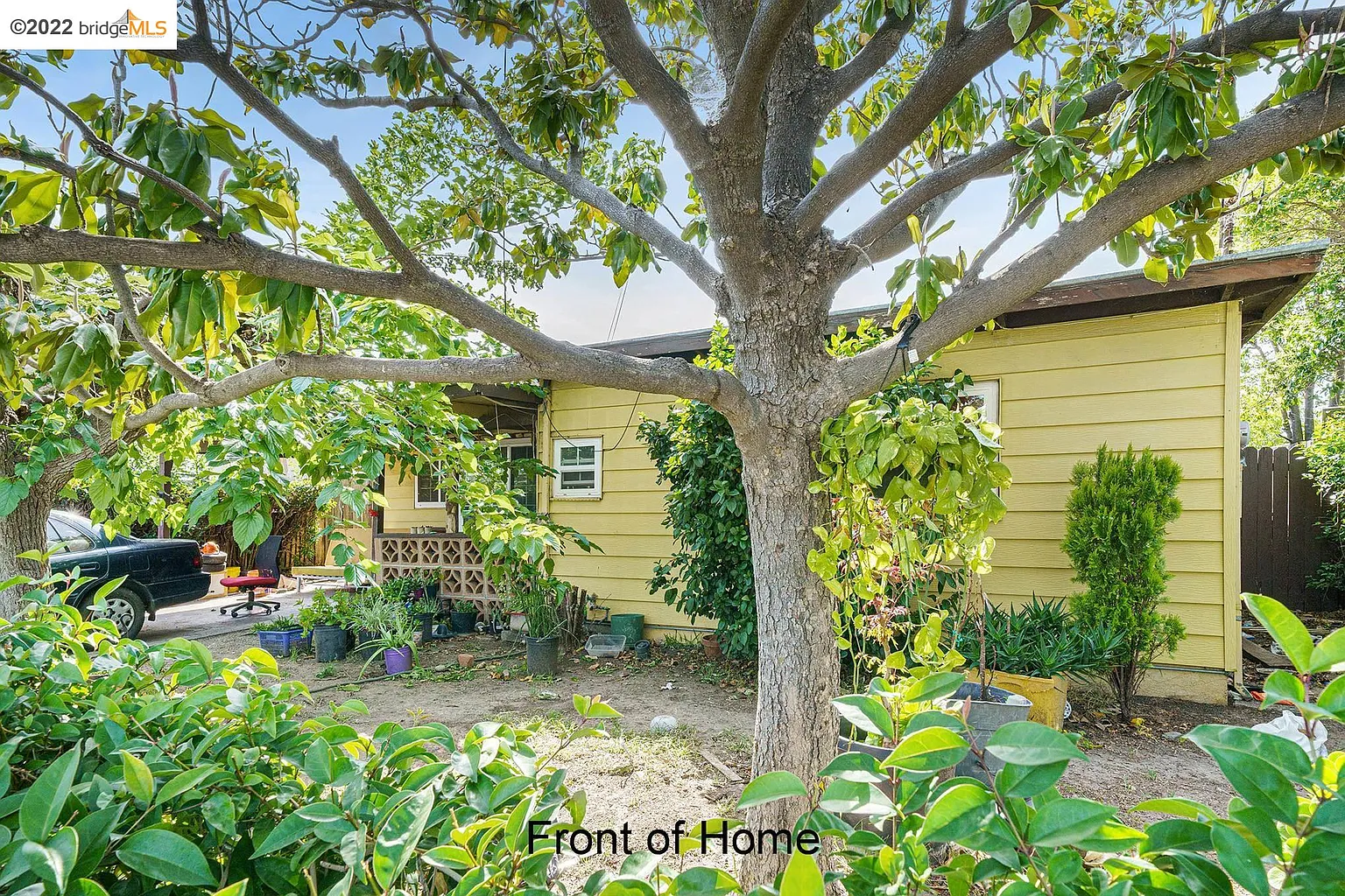 42 Mildred Ave photo 1