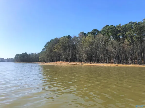 17 Little River Lndg, Cedar Bluff, AL 35959