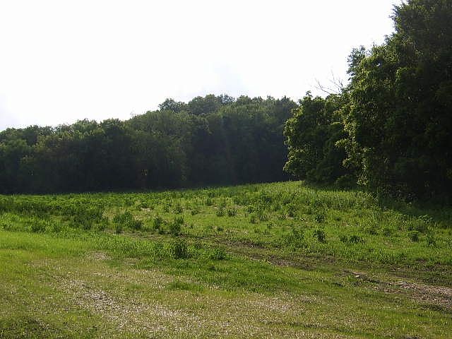 1st image of 41 Acres County Road Kp