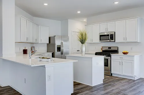 10903 Water Hyssop Ln Photo 1