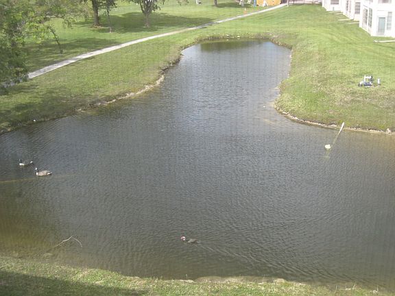 2nd image of 9340 Sunrise Lakes Blvd APT 303