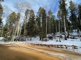 222 Banner Trail, Florissant, CO 80816