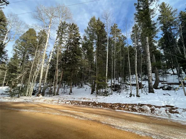 222 Banner Trail, Florissant, CO 80816