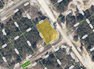 458 Delta Ln, Lake Placid, FL 33852