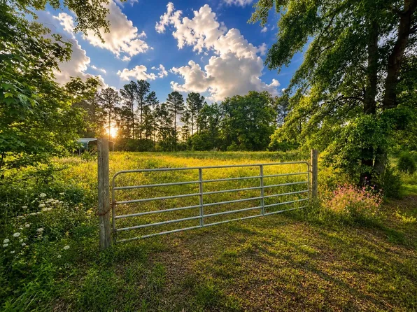 0 Fish Rd, Ridgeville, SC 29472