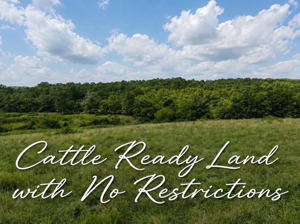 Tbd State Highway E, Hartville, MO 65667