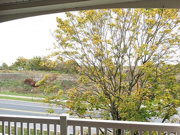 View from Deck