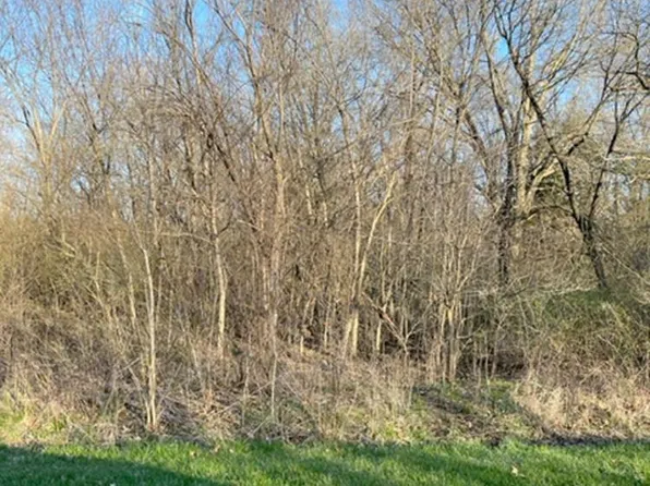 91 Birch Ct, Dahinda, IL 61428