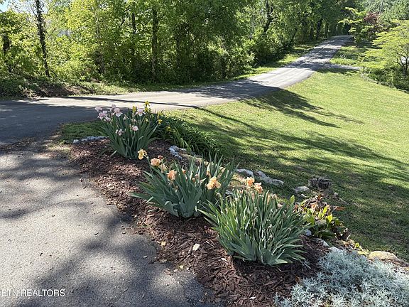 4th image of 2001 Evergreen Cir