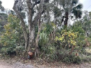 800 N Sweet Gum Way, Inverness, FL 34453