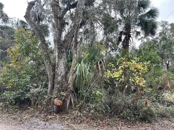 800 N Sweet Gum Way, Inverness, FL 34453