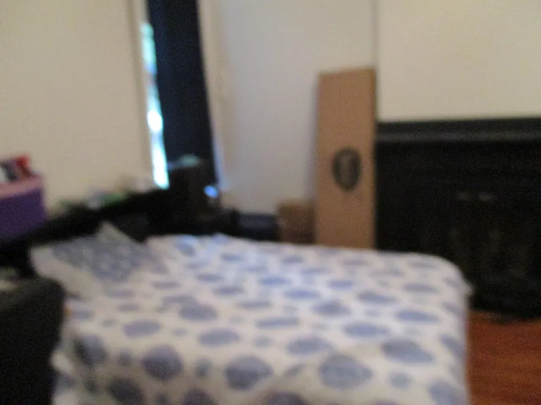 212 N Lombardy St #A — Photo 9
