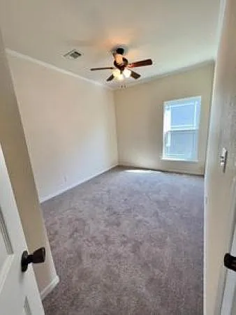 1526 Sea Oak Dr — Photo 14