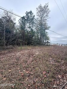 0 Dairy Rd, Sneads, FL, 32460