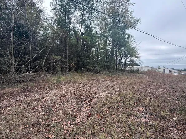 0 Dairy Rd, Sneads, FL 32460