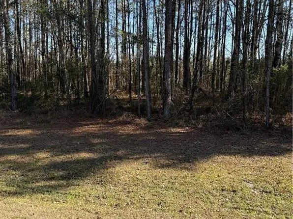 0 Settlers Bluff Rd #32, Folkston, GA 31537