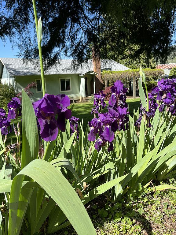 9216 Lookingglass Rd - Property Image