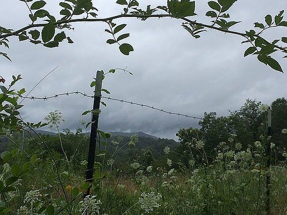 view from property meadow