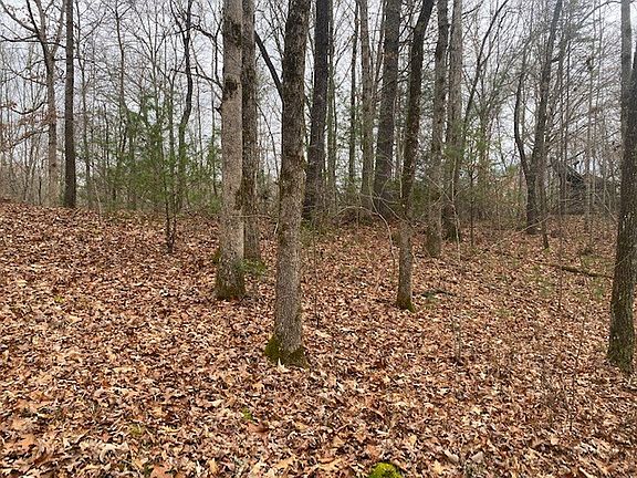 3rd image of 504 Piney Woods Way