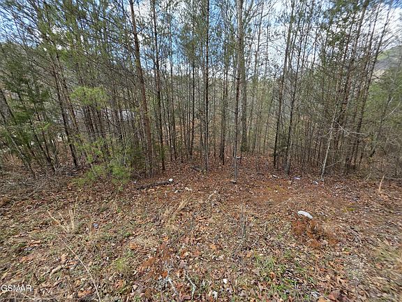 5th image of 128 Bear Valley Rd Lot 128