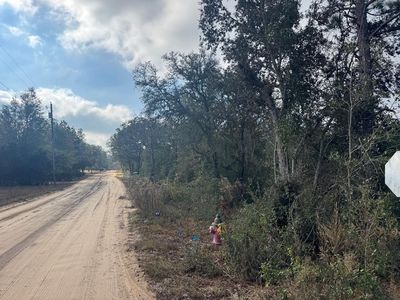 0 Lake Park St Tract 1, Douglas, GA, 31533